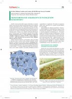 Monitorowanie szkodliwych patogenów kukurydzy.pdf