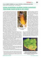 Ocena zagrożenia skażenia ziarna kukurydzy.pdf