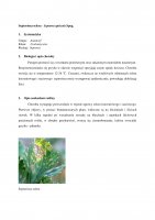 Septorioza selera.pdf