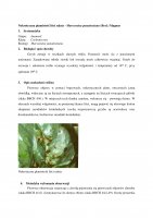 Nekrotyczna plamistość liści sałaty.pdf