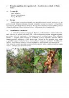 Brunatna_zgnilizna_drzew_pestkowych_2.pdf