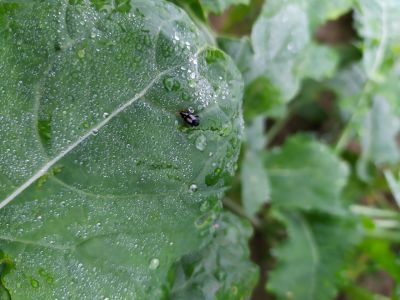IMG_20201008_100512