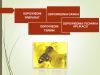 Bezpieczeństwo pszczół w ochronie roślin - badania IOR -...