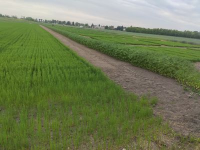Kom. 10.06. 2023 (1)