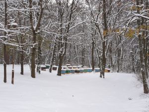 20231204_070738