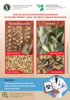 Ochrona zbóż przed chorobami grzybowymi fuzariozą i sporyszem (plakat).pdf