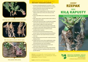 Chronmy rzepak przed Kilą Kapusty.pdf