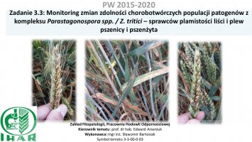 Monitoring zmian zdolności chorobotwórczych populacji plamistości liści i plew pszenicy i pszenżyta.pdf