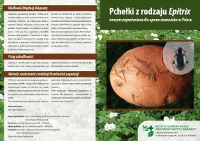 Pchelki z rodzaju Epitrix nowym zagrozeniem dla upraw ziemniaka w Polsce ulotka.pdf