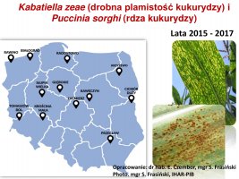 Choroby liściowe głownia 2015-2017.pdf