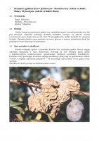 Brunatna_zgnilizna_drzew_pestkowych.pdf