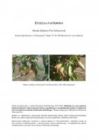 Xylella fastidiosa - wersja rozszerzona.pdf