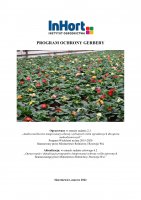 GERBERA.pdf