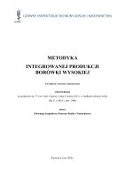 BORÓWKA.pdf