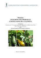 CUKINIA KABACZEK PATISON.pdf