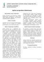 AGRILUS AUROGUTTATUS.pdf
