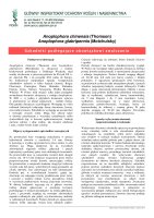 ANOPLOPHORA CHINENSIS.pdf