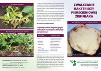 ZWALCZANIE BAKTERIOZY PIERŚCIENIOWEJ ZIEMNIAKA.pdf