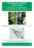 THRIPS PALMI.pdf