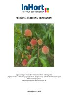 BRZOSKWINIA.pdf