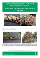 NEONECTRIA NEOMACROSPORA.pdf