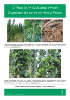 CITRUS BARK CRACKING VIROID.pdf