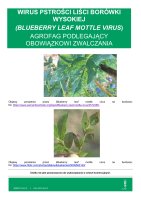 BLUEBERRY LEAF MOTTLE VIRUS.pdf