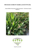 BABKA LANCETOWATA.pdf