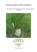 KOPER WŁOSKI.pdf