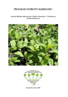 MAJERANEK.pdf