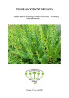OREGANO.pdf