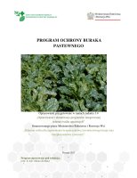 BURAK PASTEWNY.pdf
