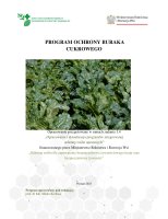 BURAK CUKROWY.pdf