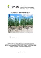 CHMIEL.pdf
