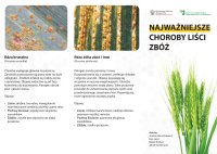 NAJWAZNIEJSZE CHOROBY LIŚCI ZBÓŻ.pdf