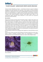 TARCZNIK NISZCZYCIEL.pdf