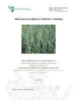 PSZENICA OZIMA.pdf