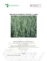 PSZENICA JARA.pdf