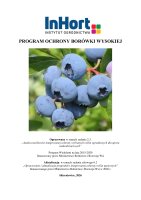 BORÓWKA WYSOKA.pdf