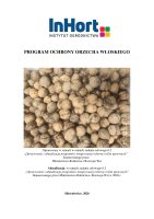 ORZECH WŁOSKI.pdf