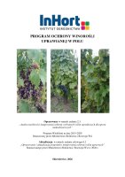 WINOROŚL UPRAWIANA NA POLU.pdf