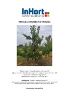 MORELA.pdf